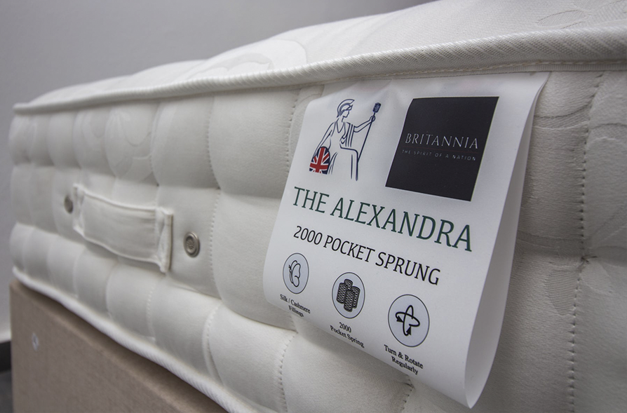 alexandra-dsw